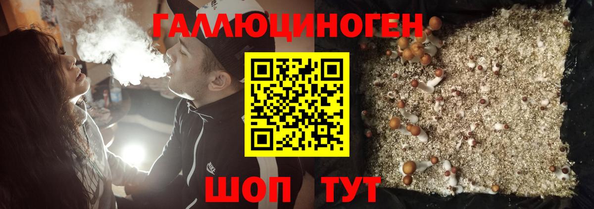 Галлюциногенные грибы Cubensis  Галлюциногенные грибы MAGIC MUSHROOMS  Вход с VPN  Гусиноозёрск 